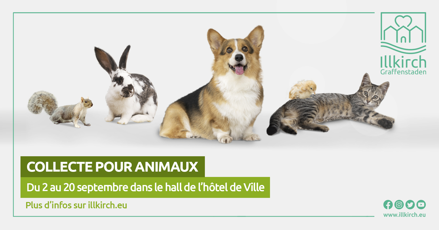 Collecte pour animaux du 2 au 20 septembre à Illkirch-Graffenstaden